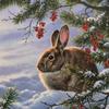 Michael.tham - @michael.tham - TikTok