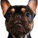 Michael Hastin - Facebook