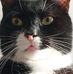 Michel Theil - Facebook