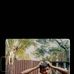 Michael Thomas - Facebook