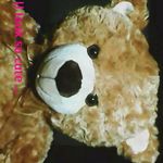 Thys Michael - @thysmichael - Instagram