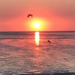 Michael Till - @michael.till.391 - Instagram