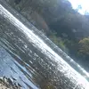Michael timms - @michael5074 - TikTok