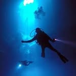 Michael Timoney - @timoneymike - Instagram