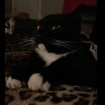 James Michael Tinger Jr - @jimmyohok - Instagram