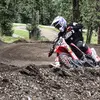 MichaelTingley - @michaeltingley - TikTok
