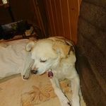 Michael Tittel - @michael.tittel.771 - Instagram