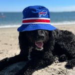 Michael Tobin - @mtobin13 - Instagram