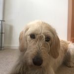 Michael Tobin - @michael_tobin_13 - Instagram