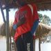 Michael Todd - Facebook