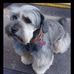 Michael Tognarelli - Facebook