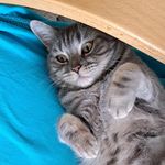 Michael Tomášek - @michael_tomasek - Instagram