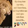 Michael De Tomaso - @allbymyselfiamknowbuddy - TikTok