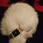 Michael m tomblin - @michaelmtomblin - Instagram