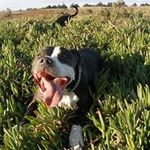 Michael Tomblinson - @tomblinsonmichael - Instagram
