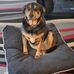 Michael Tomkins - Facebook