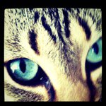 Michael Tomkins - @username_mikey - Instagram