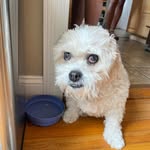 Michael Tonn - @michael.tonn.754 - Instagram