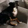 Michael Tonn - @michaeltonn - TikTok