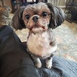Michael Torrence - @michael.torrence.9210 - Instagram
