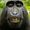 Michael Toth - @michael.toth3 - TikTok