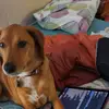 GryphonTails - @michaeltotten269 - TikTok