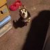 Michael Townsend - Facebook