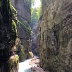 Michael Traber - @traber_michael - Instagram