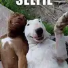 michaeltrabert670 - @michaeltrabert670 - TikTok