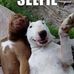 Michael Trabert - Facebook