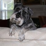 Michael Trager - @michael_trager_1960 - Instagram