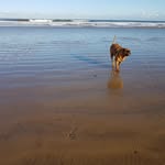 Michael trainor - @michaeltrainor2 - Instagram