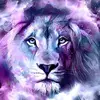 michaeltraum09 - @michaeltraum09 - TikTok