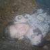 Michael Trautmann - Facebook