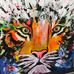 Michael Trautmann - Facebook
