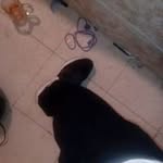Michael Traylor - @traylor.michael - Instagram