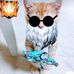 Michael Tobing - Facebook