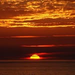 Mike Tress - @michaeltress - Instagram