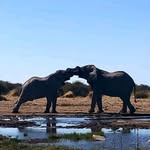 Michael Trevor - @michael.trevor.96558 - Instagram