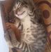 Michael Trevor - Facebook