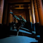 マイケル - @michael.therrien_tricking - Instagram