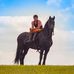 Michael Collin Riding &amp; Trick Riding Instruction - Facebook