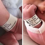 Michael Triolo - @micktriolo - Instagram