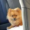 Michael Tromp937 - @michaelt1110 - TikTok