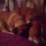 Michael Truby - @michael.truby.165 - Instagram