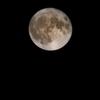 Michael Truesdale - @michael.truesdale - TikTok