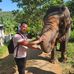 Michael Trummer - Facebook