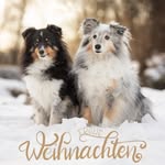 Michaela Trummer - @michaela_trummer_fotografie - Instagram