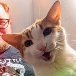 Michael Truran - @jaded_jackalope - Instagram