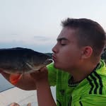 Michael tsapos - @sportfiske_michael - Instagram